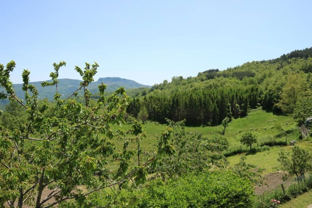 La Sala Vecchia - Lovely Tuscan Holiday house Badia Prataglia, Casentino Valley Chiusi della Verna Exterior foto