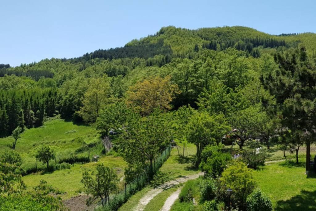 La Sala Vecchia - Lovely Tuscan Holiday house Badia Prataglia, Casentino Valley Chiusi della Verna Exterior foto