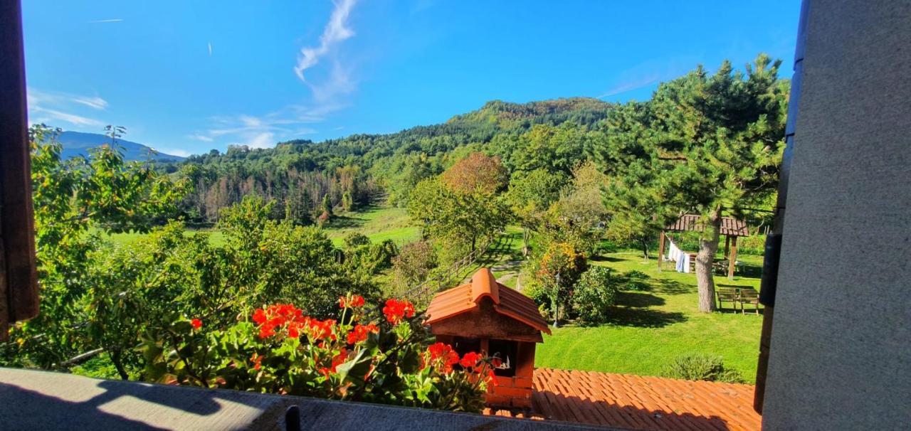 La Sala Vecchia - Lovely Tuscan Holiday house Badia Prataglia, Casentino Valley Chiusi della Verna Exterior foto